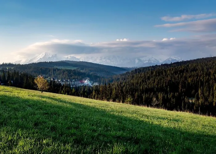 Hotel Bukovina